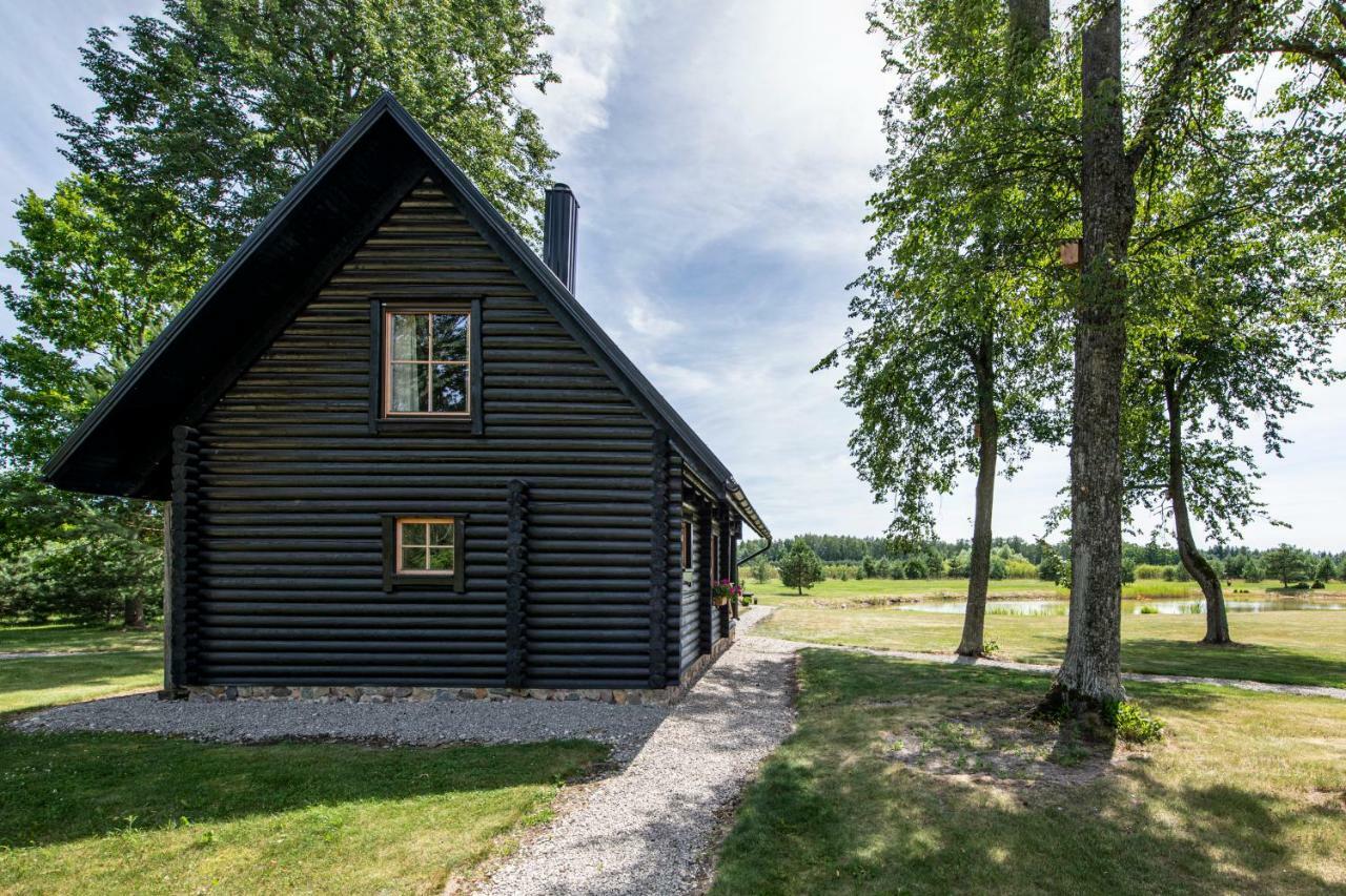 Vila Loreta - Namelis Su Pirtimi Dudoryne Экстерьер фото